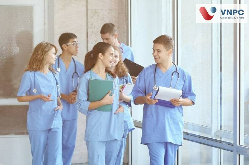Đăng nhập King88 vina nhận +888K Nhật ngành điều dưỡng không